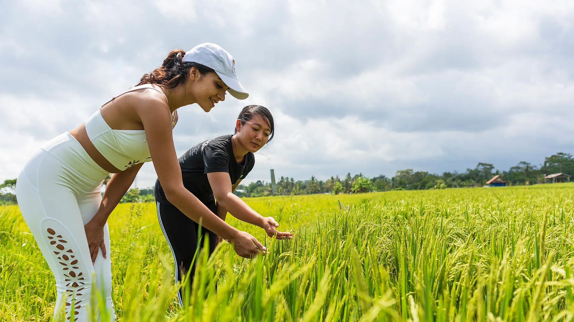 Exploring the Enchanting Sebatu Village